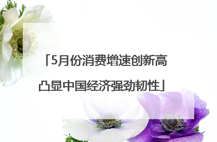 5月份消费增速创新高 凸显中国经济强劲韧性