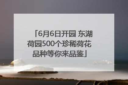 6月6日开园 东湖荷园500个珍稀荷花品种等你来品鉴