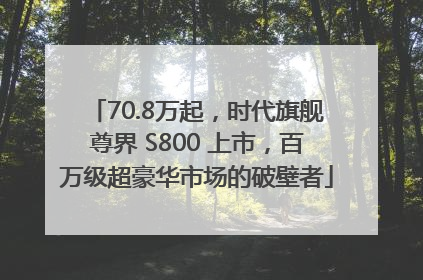 70.8万起，时代旗舰尊界 S800 上市，百万级超豪华市场的破壁者