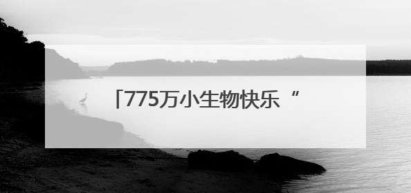 775万小生物快乐“回家”！厦门举行广场主题活动和增殖放流活动