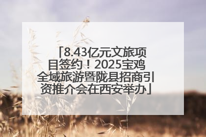 8.43亿元文旅项目签约！2025宝鸡全域旅游暨陇县招商引资推介会在西安举办
