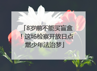 8岁前不能买盲盒！这场检察开放日点燃少年法治梦