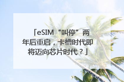 eSIM“叫停”两年后重启，卡槽时代即将迈向芯片时代？